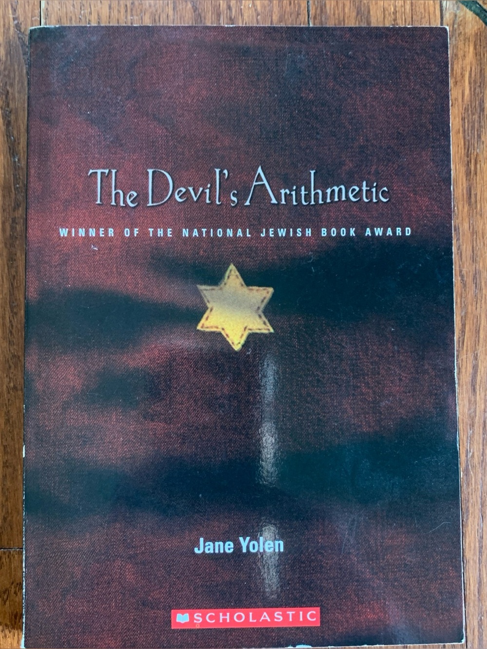The Devil’s Arithmetic Jane Yolen Paperback Book